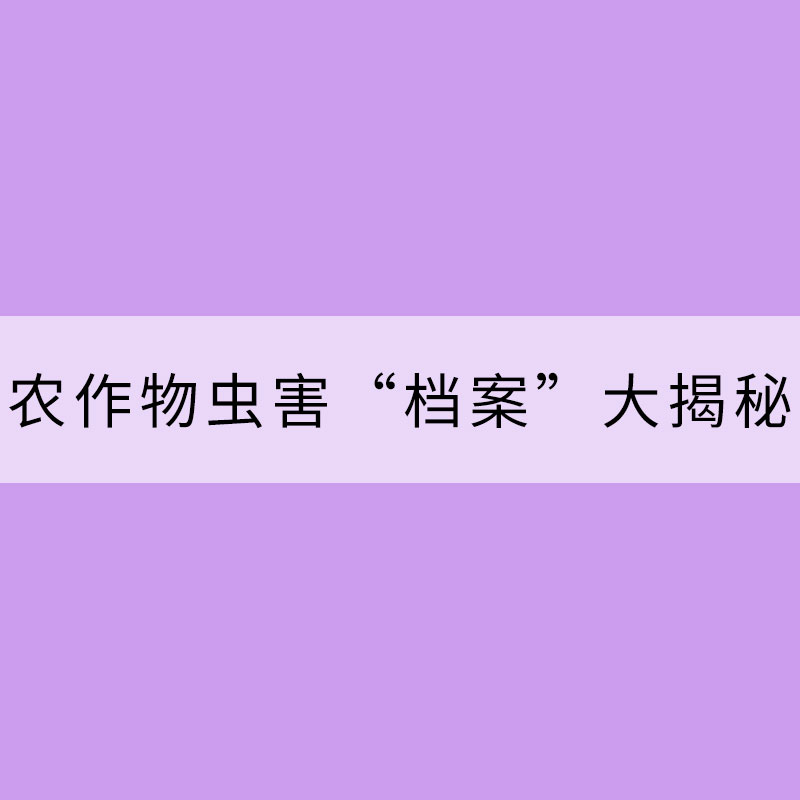 盤點：常見農作物蟲害“檔案”大揭秘