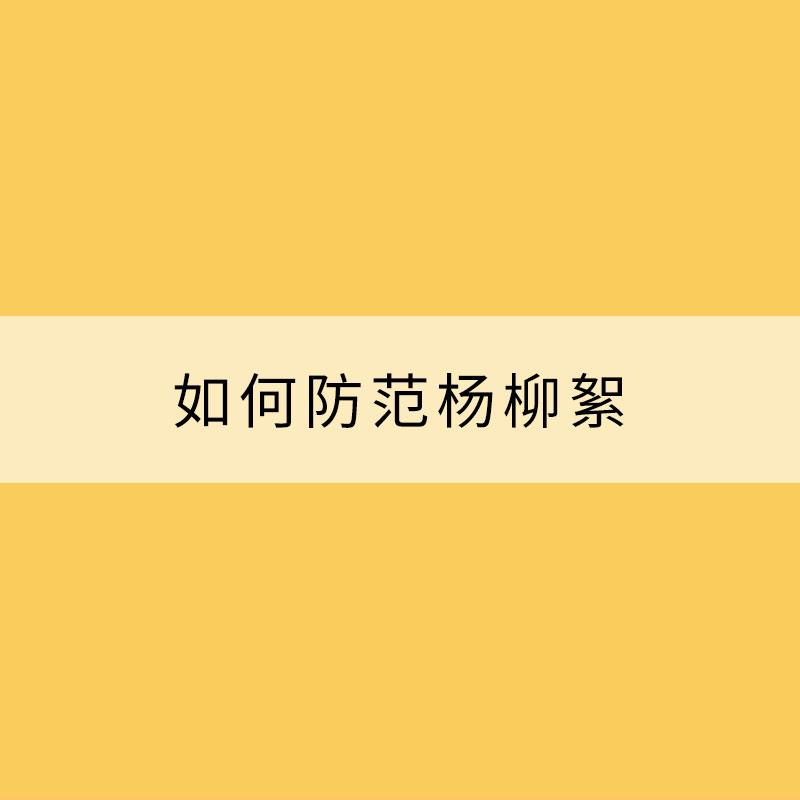 春日百般好唯有飛絮惱如何防范楊柳絮