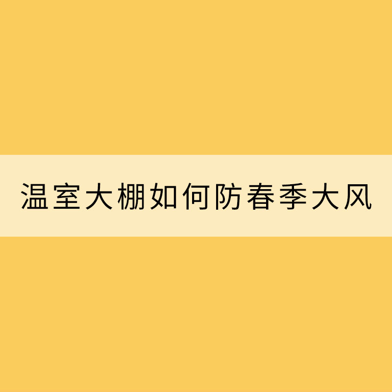 溫室大棚如何防春季大風